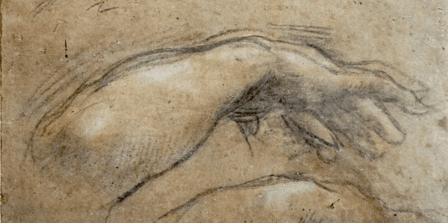 The Prints and Drawings Collection of the Galleria Nazionale delle Marche